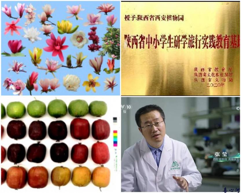 陕西省西安植物园2025年春季研学方案（全天-5个科普项目）(1)(2)